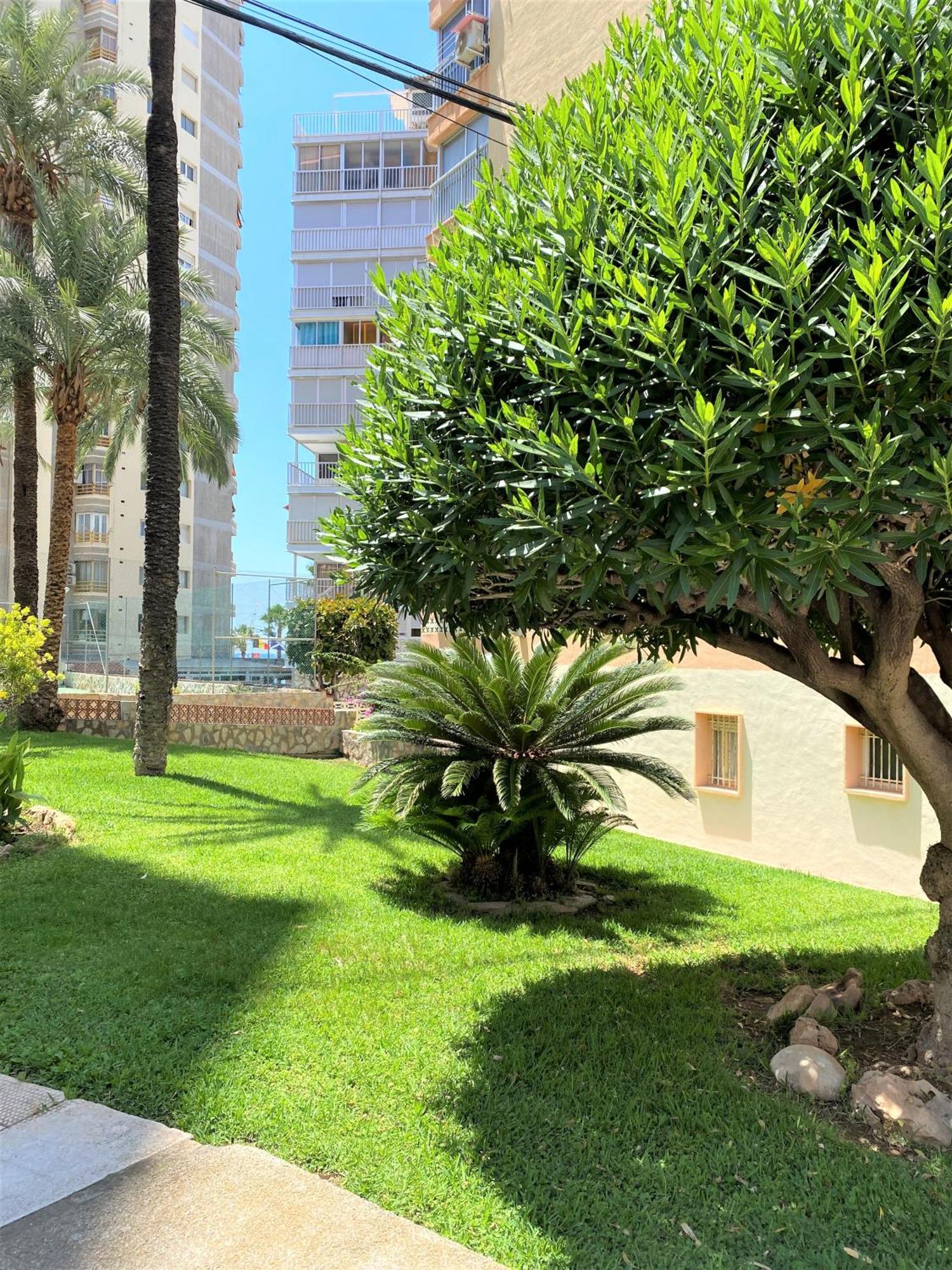 Carabelas Apartments Бенидорм Екстериор снимка